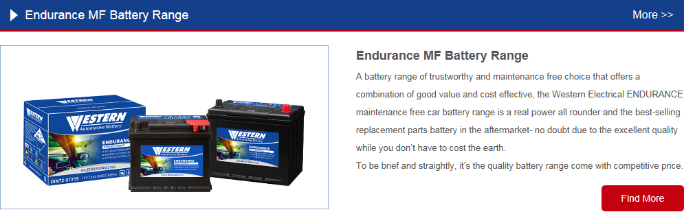 ENDURANCE MF CAR BATTERY.png