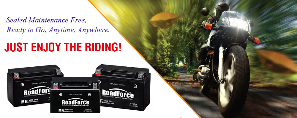 Roadforce-Sealed-Maintenance-Free-Motorcycle-Battery.jpg