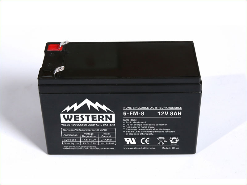 6-FM-8 FM Series UPS Battery