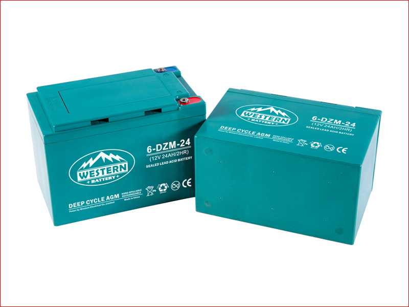  DZM Electric Scooter Battery 24Ah