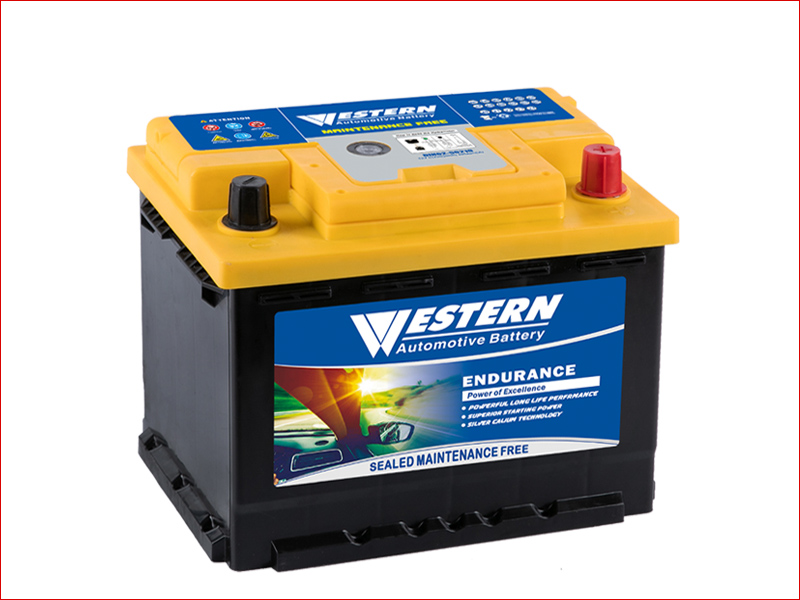 DIN62-56219 Maintenance Free Car Battery